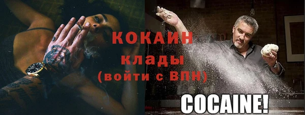 бошки Аркадак