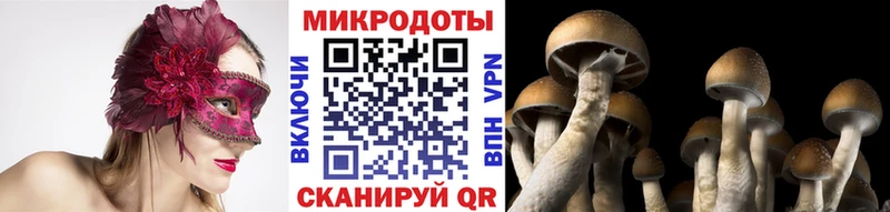Псилоцибиновые грибы Magic Shrooms  хочу   Большой Камень 